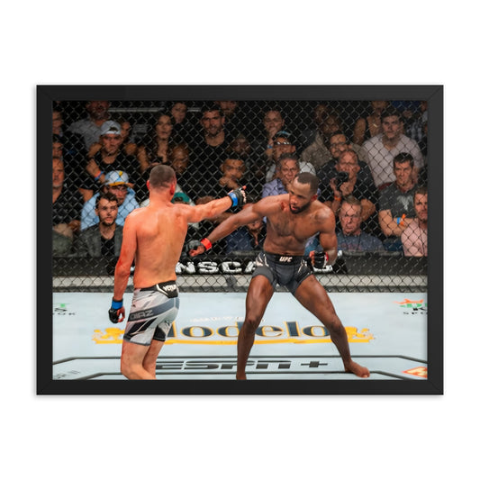 Nate Diaz rocks Leon Edwards Framed Poster